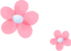 img_flower_pink