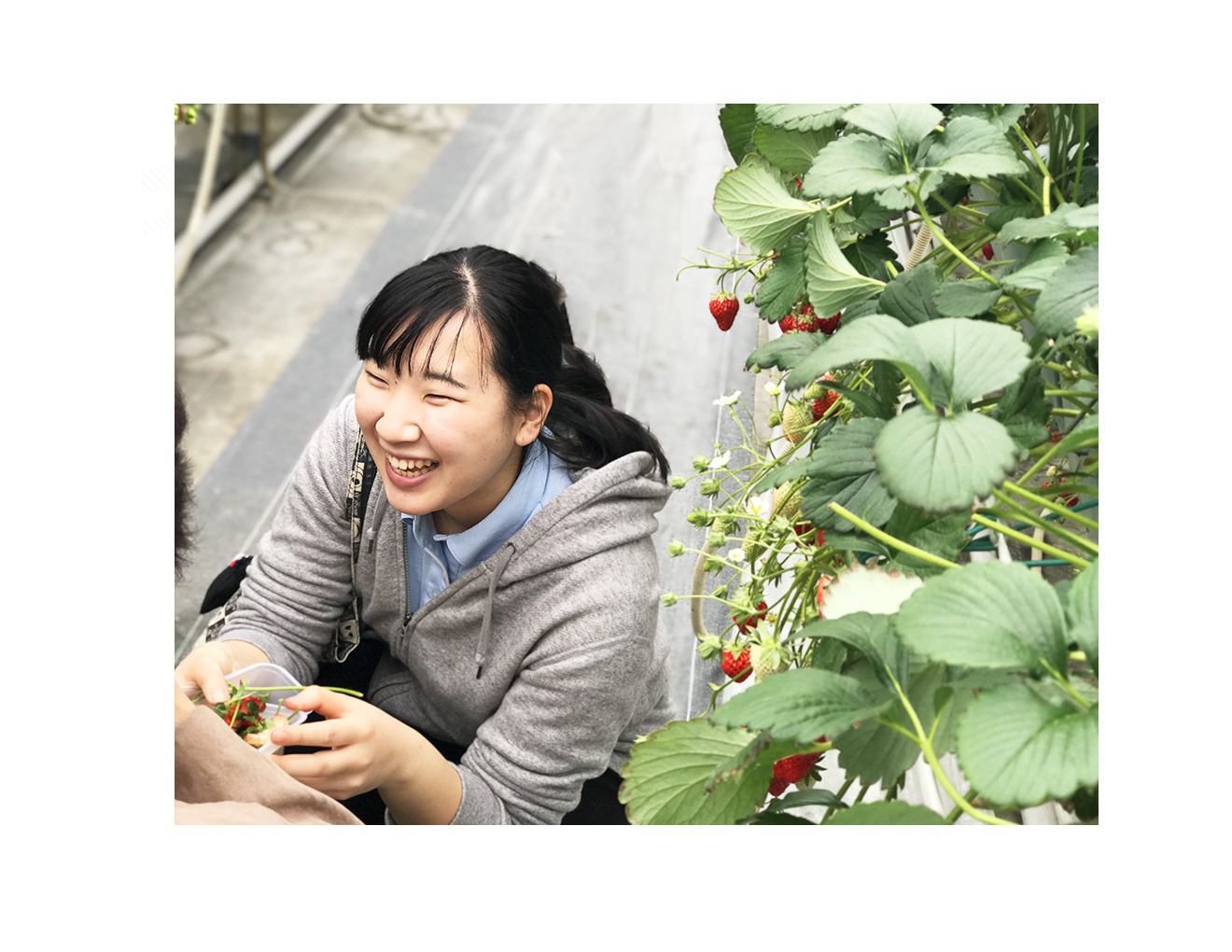 介護職員(新卒)