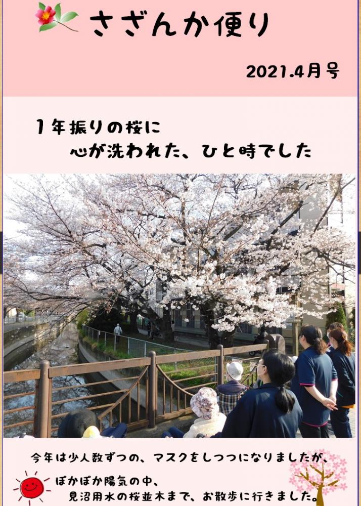 さざんか便り　4月号