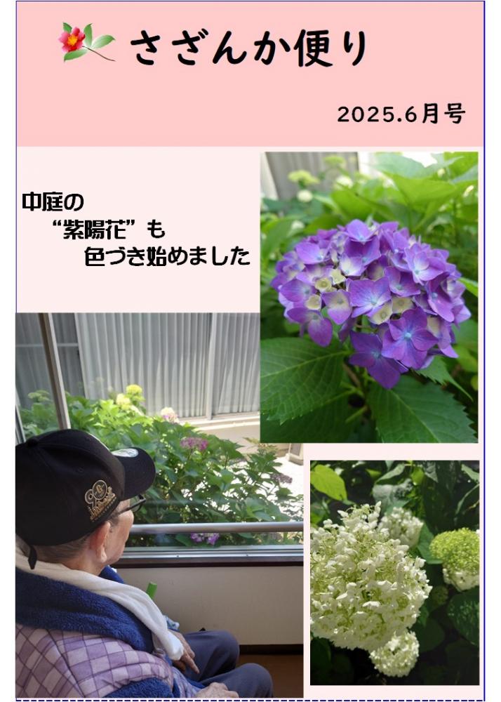 さざんか便り　6月号