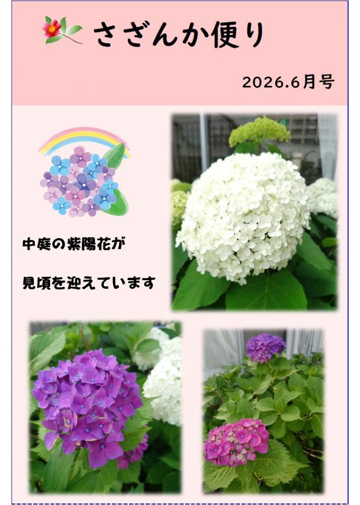 さざんか便り　6月号