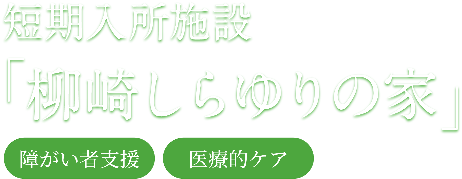 柳崎しらゆりの家